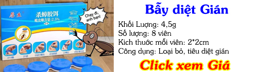 bẫy diệt gián