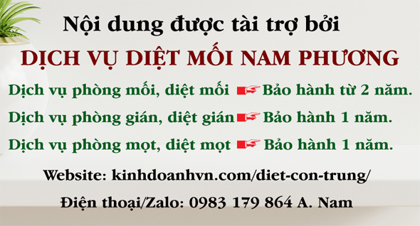 Dịch vụ diệt mối mọt kiến gián