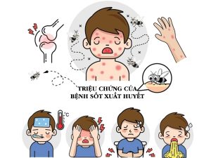 Sot xuat huyet 2