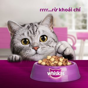 d an cho meo con whiskas v ca bi n va s a d ng tui 11 kg 3