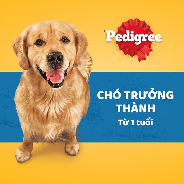 th c an cho cho tru ng thanh pedigree adult 1 years v ga rau c 15kg tui 5