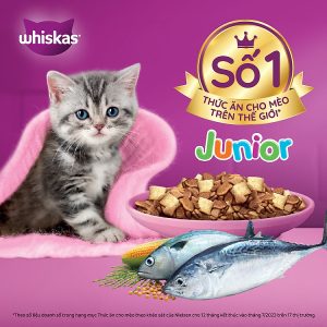 th c an cho meo con whiskas junior 2 12 monthsv ca bi n 450g tui 2