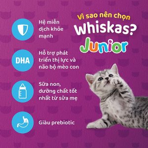 th c an cho meo con whiskas junior 2 12 monthsv ca bi n 450g tui 3