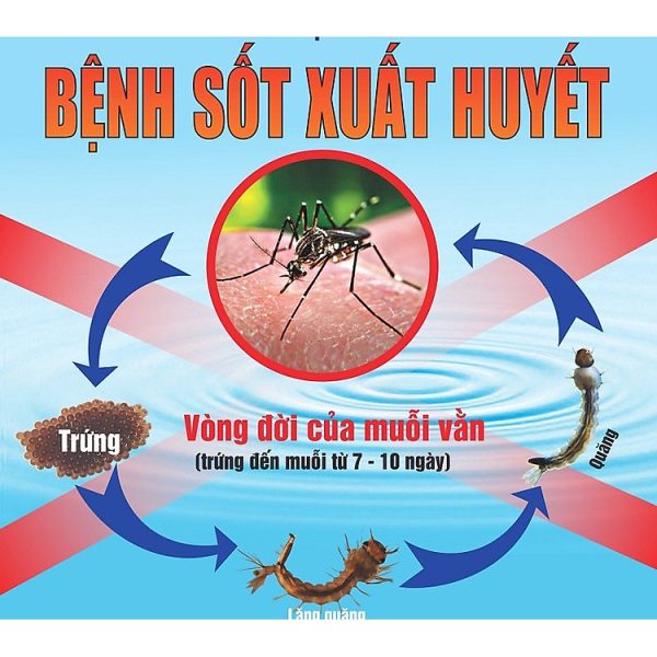 thuo c die t con trung trong nha di t muo i khong mui du ng trong gia di nh 2